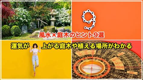 黃金檜木風水|風水×庭木のヒント9選【植えてはいけない木や植え。